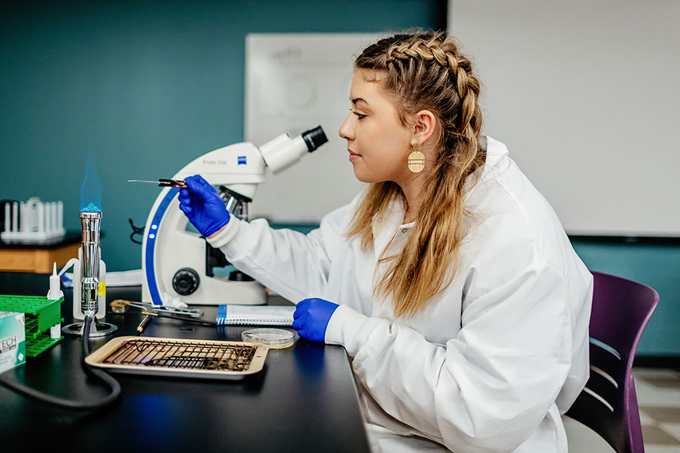 A student conducts research in a lab.