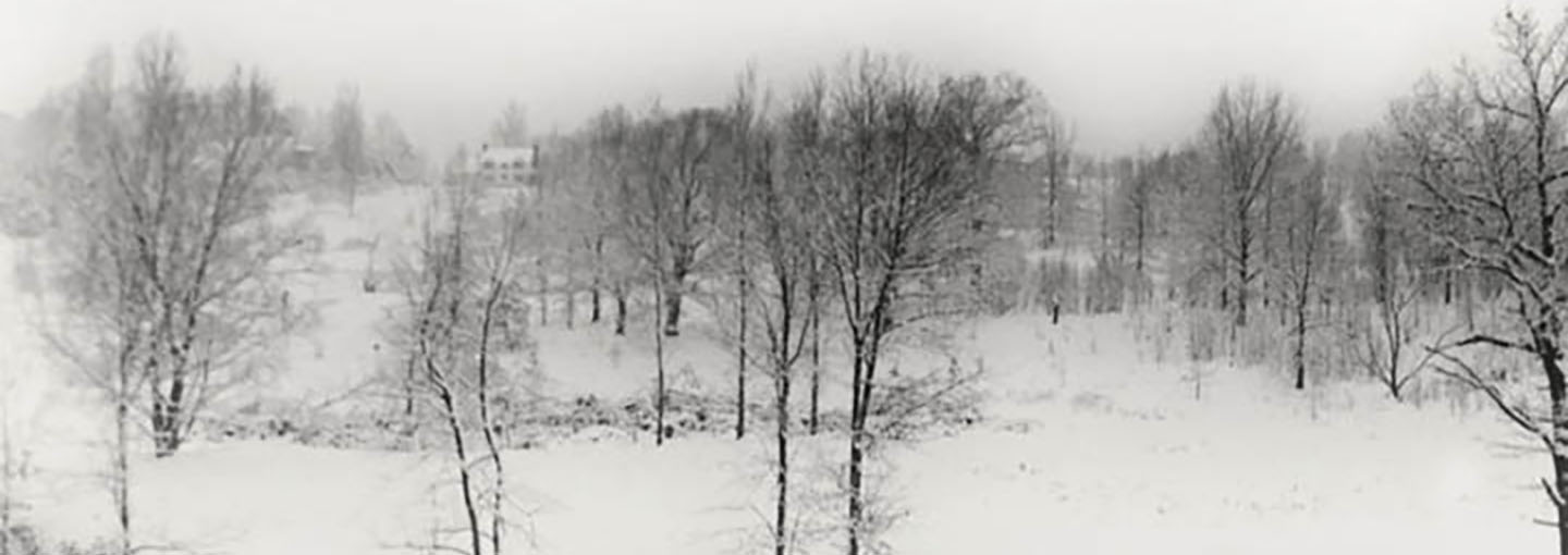 Black and white winter scene with trees of Fisher's original site.
