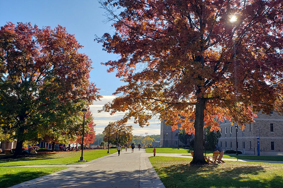 A fall day on campus.