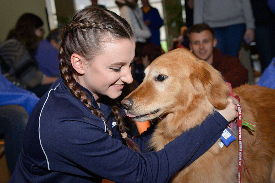 A student hugs a dog during a visit from therapy dogs.