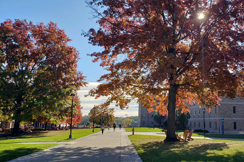 Fisher in the fall.
