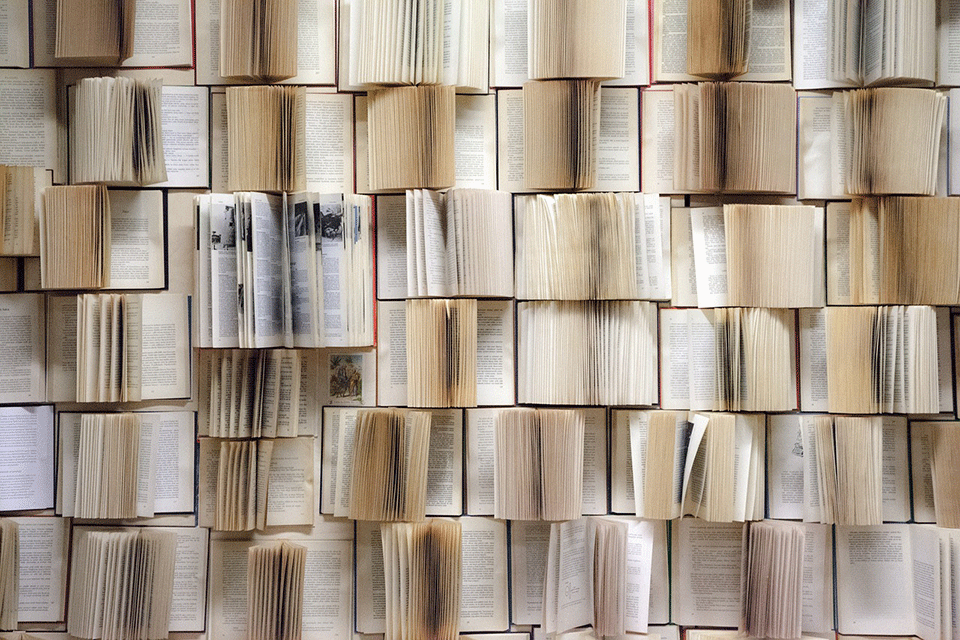 A wall of books.