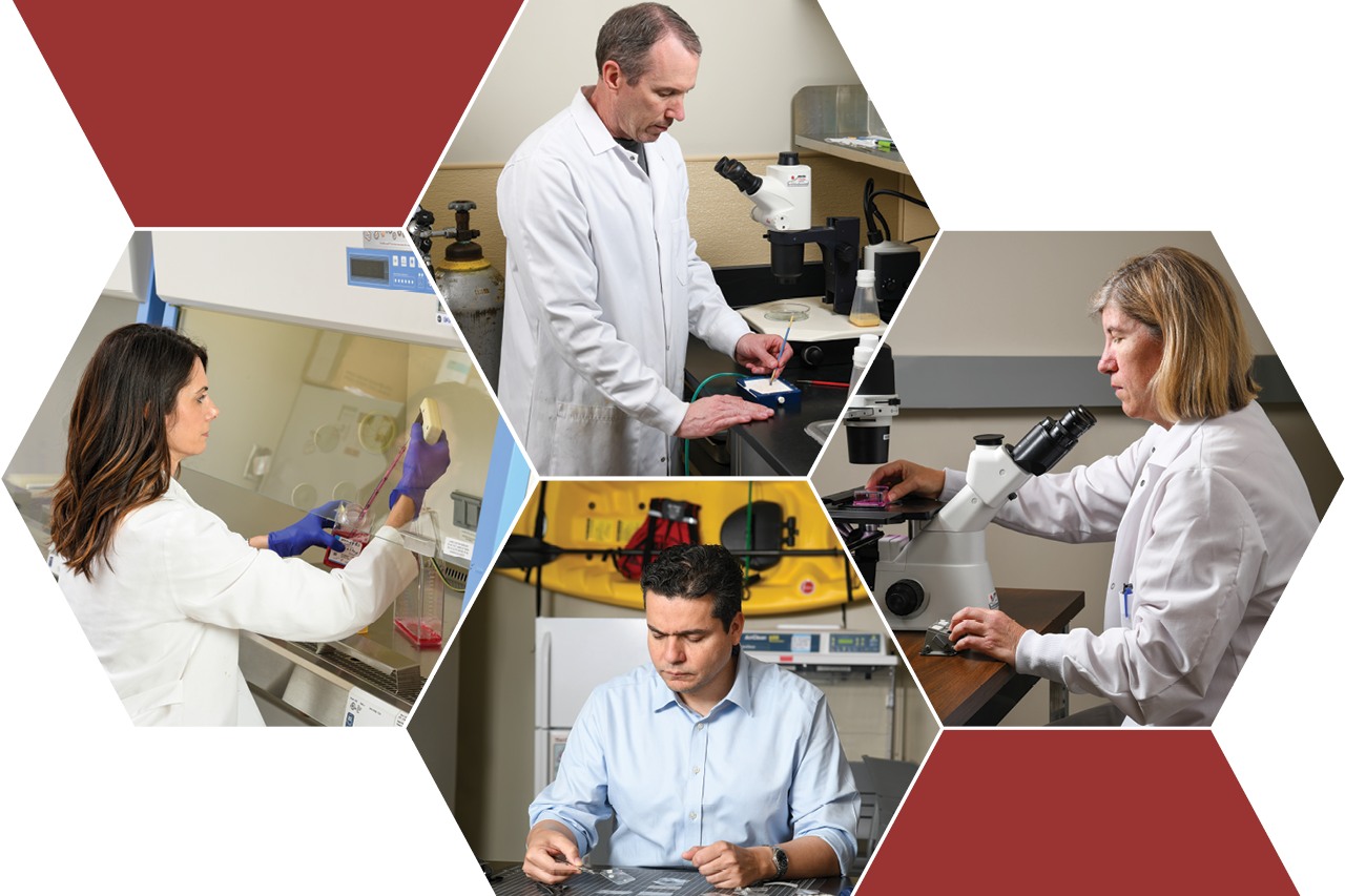 Collage of pictures of Dr. Jonelle Mattiacio, Dr. Ed Freeman, Dr. Fernando Ontiveros, and Dr. Kathleen Savage