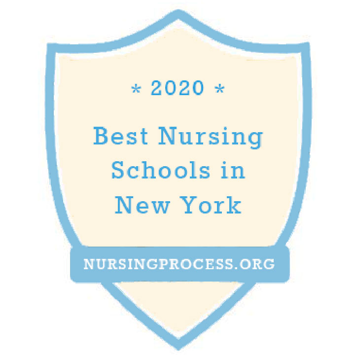 NuringProcess.org's 2020 Best Nursing Schools in New York badge