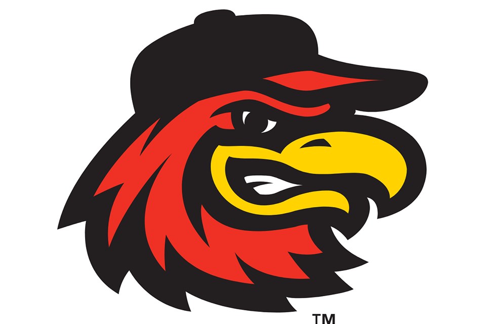 Logo: Rochester Red Wings