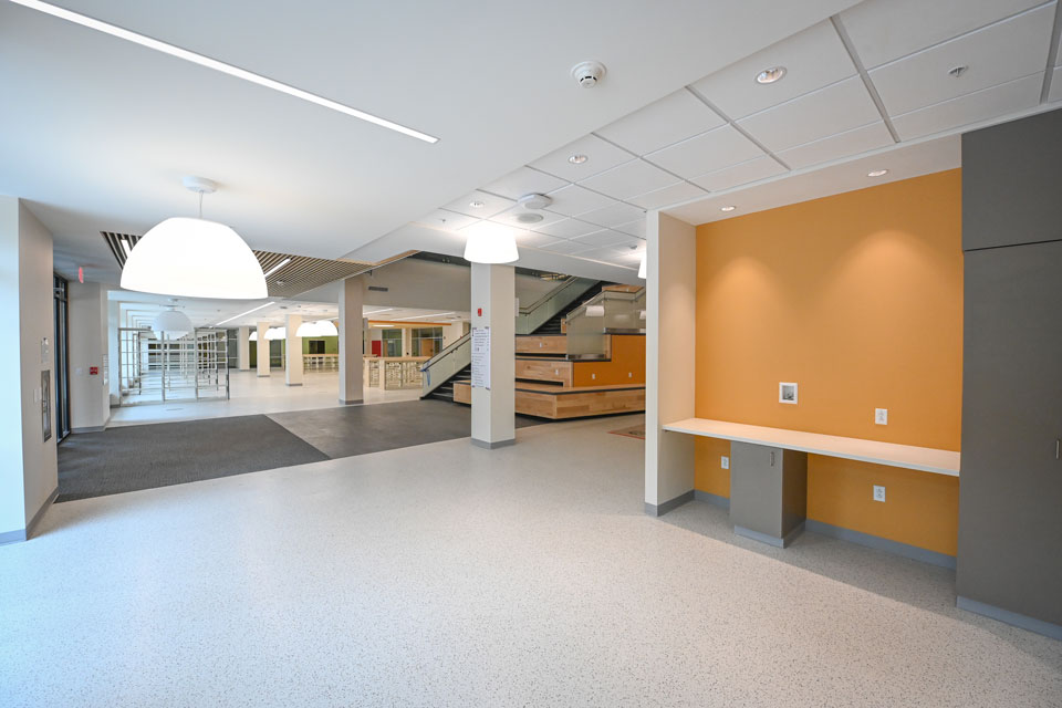 Bright walls and airy spaces creating a welcoming feel inside Lavery Library.