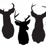 Three silhouettes of deer heads with antlers.