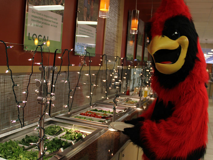 Cardinal stands at the salad bar for a delicious meal. Cardinal loves Fisher Dining.