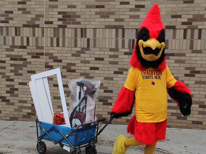 Cardinal mascot moving a wagon of items.
