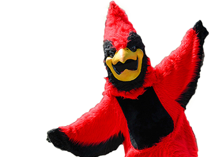 Cardinal mascot