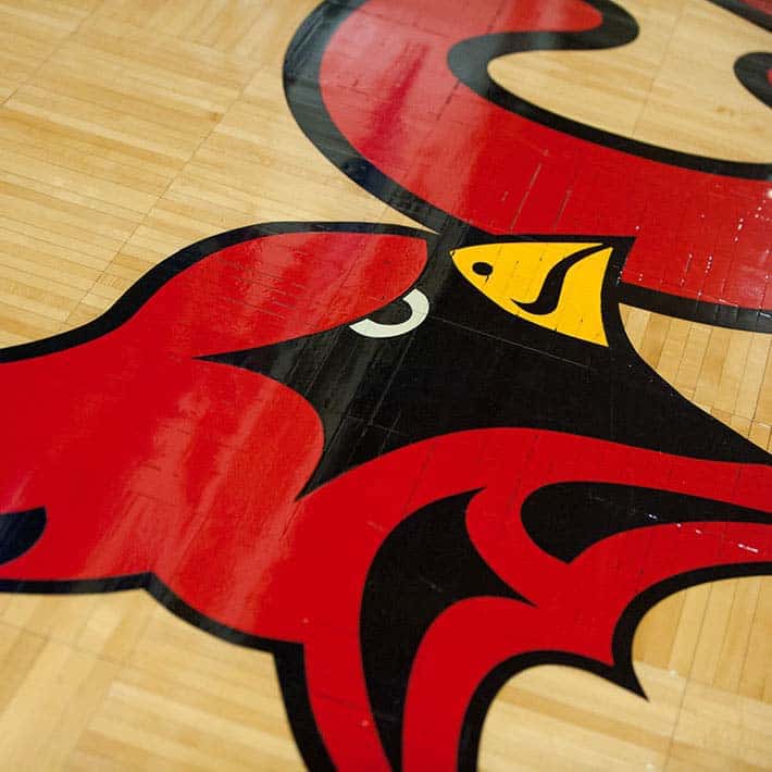 Cardinal head logo on gym floor
