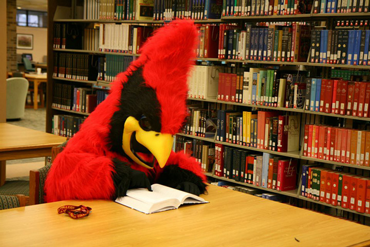 The Cardinal mascot reads a book in the library.