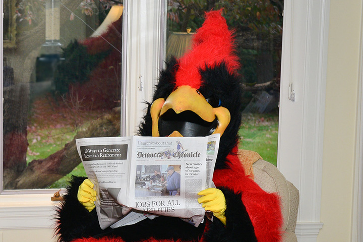 Cardinal mascot reading a newspaper.