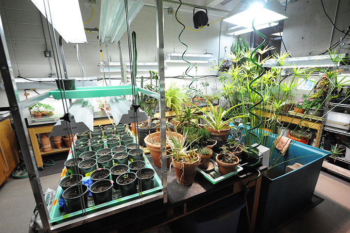 A greenhouse on campus.