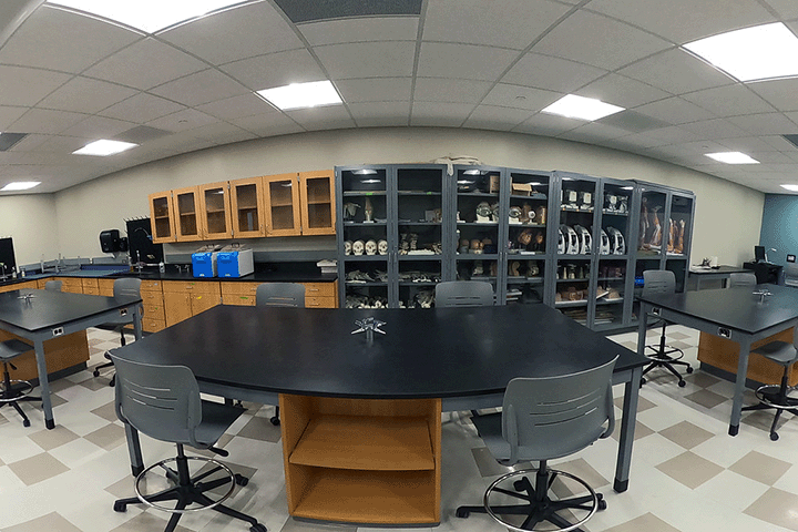 A laboratory classroom with models and supply cabinets.