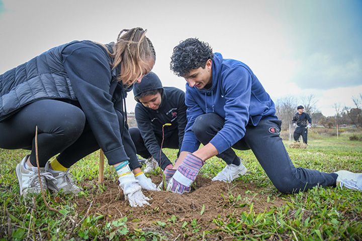Students plant a tree together.