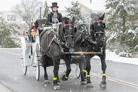 Students enjoy a horse-drawn sleigh ride on campus during Fisher's Snow Day.