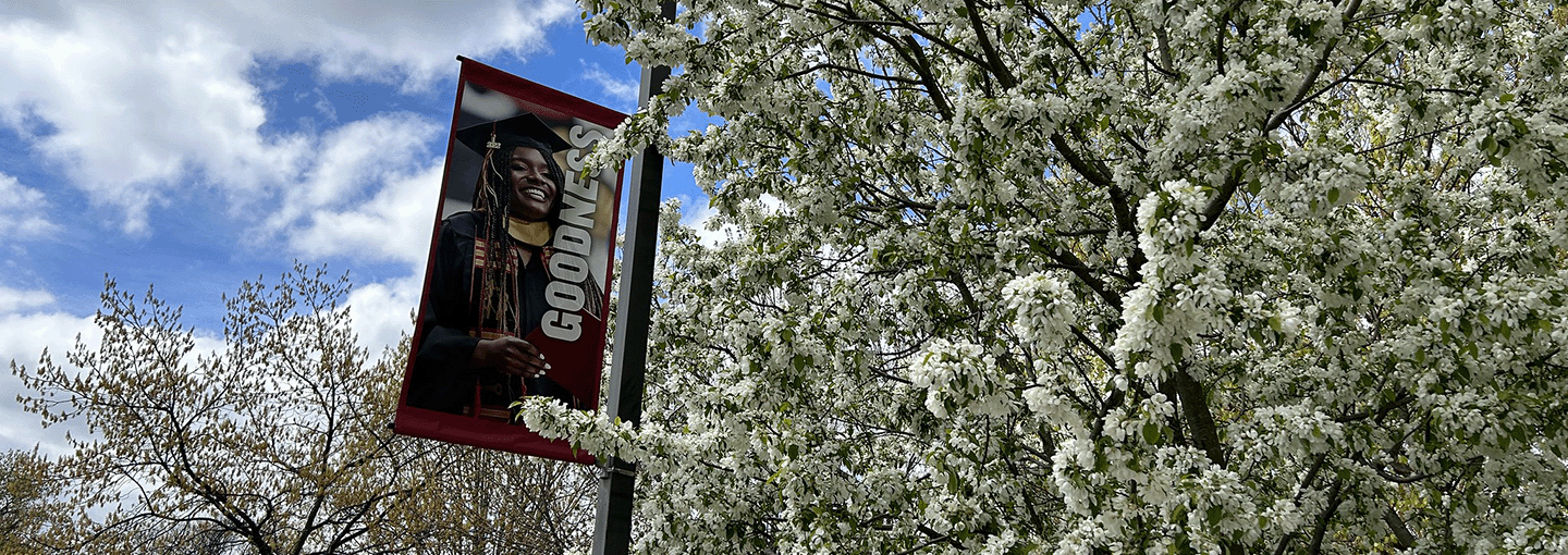 Spring tree on campus near sign with text 