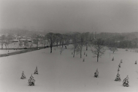 An open field on the site of what will later be the location of Kearney Hall on the St. John Fisher University campus, circa 1940s.