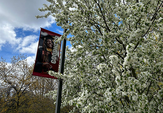 Three Fisher banners on flagpoles in front of the Wegmans School of Pharmacy.