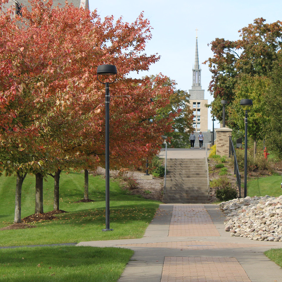 Welcoming walkway leading to Kearney on Fisher's campus surrounded by fall foliage.